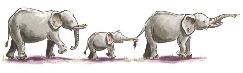 Image of elephant family