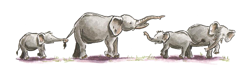 Image of elephant family